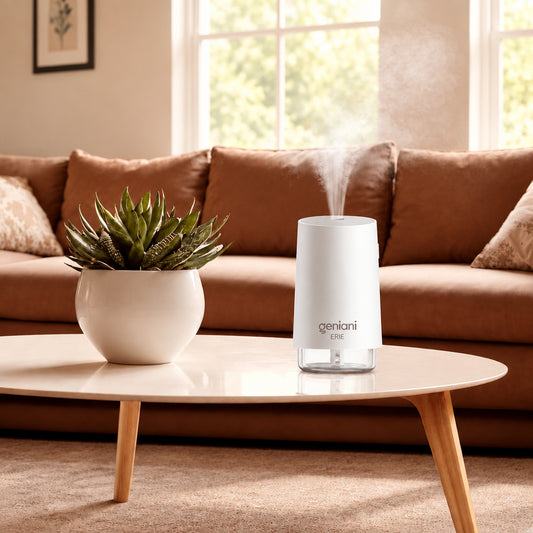Humidifier 250ML